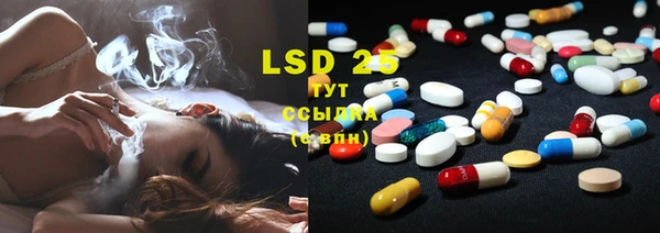 PSILOCYBIN Арсеньев