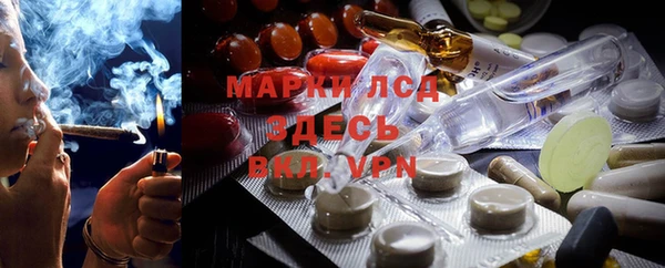 PSILOCYBIN Арсеньев