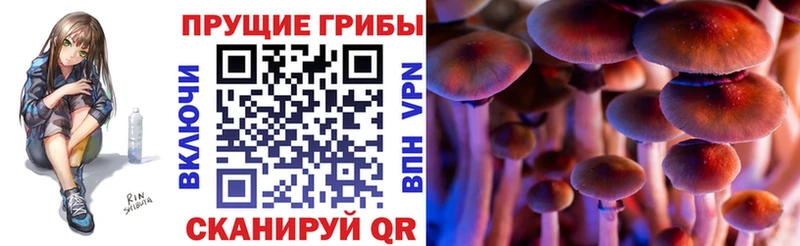 Купить  Сибай  Галлюциногенные грибы ЛСД 